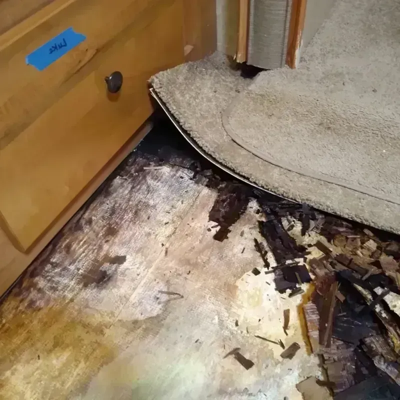 Wood Floor Water Damage in Lawrenceville, GA